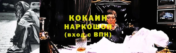 МДПВ Нея