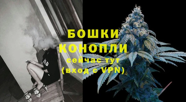 МДПВ Нея